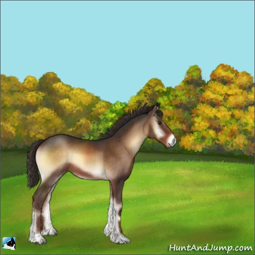 Horse Color:Liver Red Onyx 