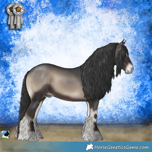 Horse Color:Blue Onyx 