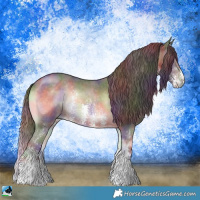 Horse Color:Nacre Chocolate Brown Onyx Sabino Rabicano 