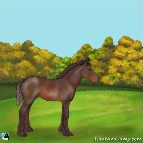 Horse Color:Chocolate Brown 