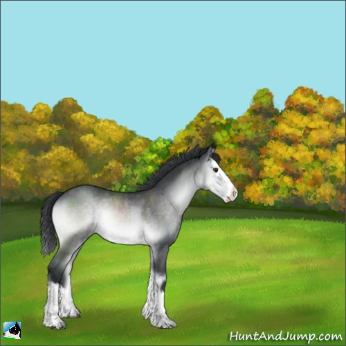 Horse Color:Brown Chinchilla Onyx Sabino Splash 