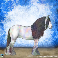 Horse Color:Nacre Buckskin Chinchilla Onyx 