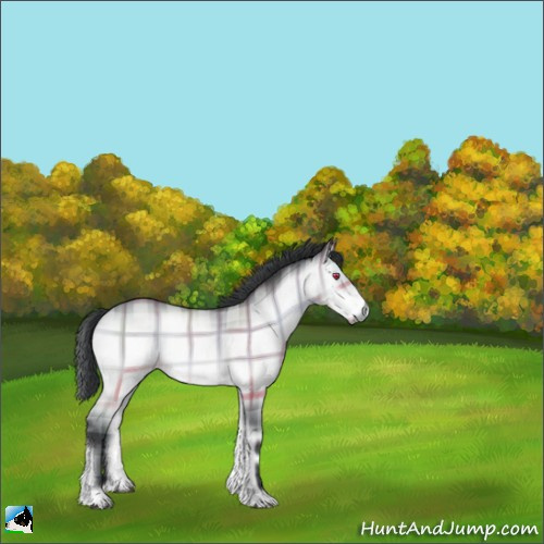 Horse Color:Plaid  Brown Chinchilla Onyx 