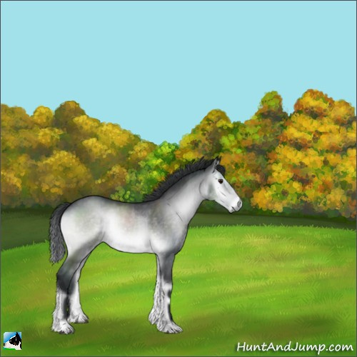 Horse Color:Brown Chinchilla Onyx 