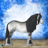 Horse Color:Brown Chinchilla Onyx Rabicano 