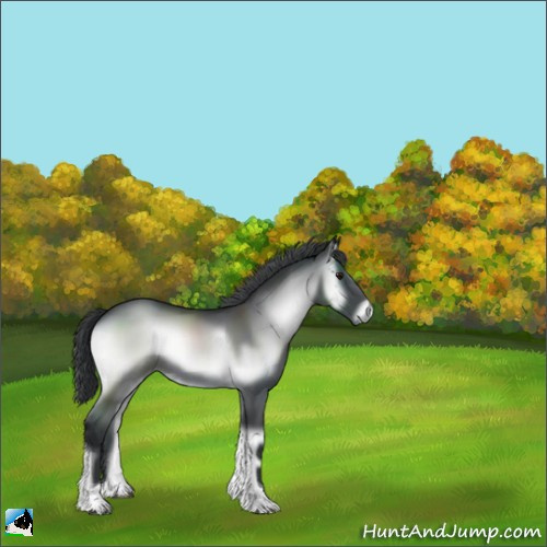 Horse Color:Blue Onyx Chinchilla Tobiano 