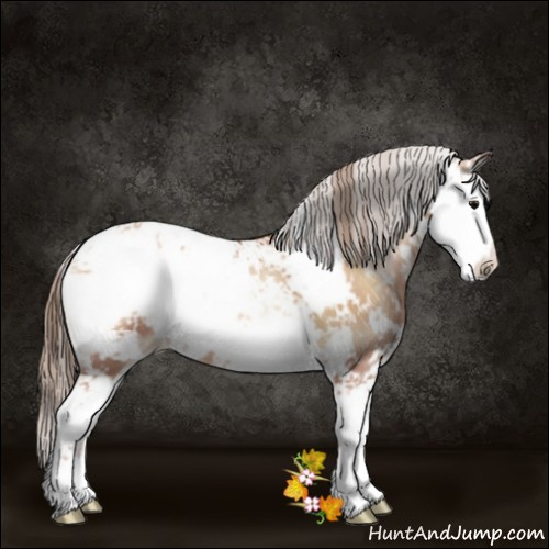 Horse Color:Blue Onyx Pearl Sabino 