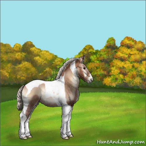 Horse Color:Silver Blue Onyx Pearl Tobiano Rabicano 