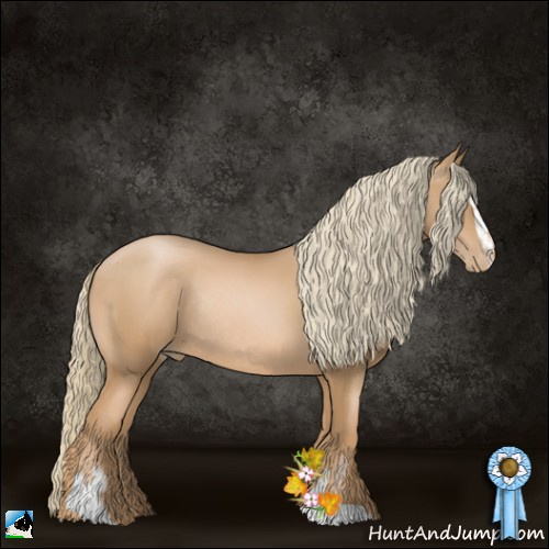 Horse Color:Chestnut Pearl Sabino Rabicano 