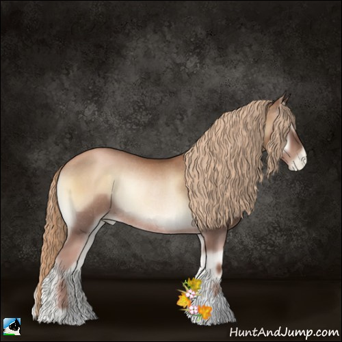 Horse Color:Liver Red Onyx Pearl Rabicano 