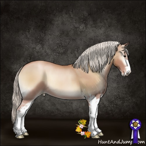 Horse Color:Silver Blue Onyx Pearl Sabino 