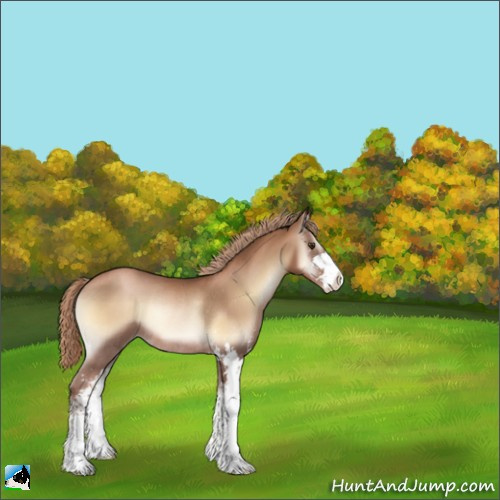 Horse Color:Liver Red Onyx Pearl Sabino Rabicano 