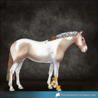 Horse Color:Blue Onyx Pearl Tobiano