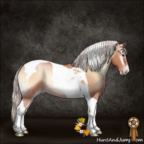 Horse Color:Silver Brown Pearl Onyx Tobiano 