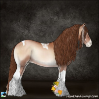 Horse Color:Brown Pearl Onyx Tobiano Rabicano