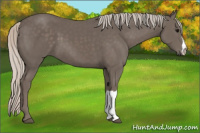 Horse Color:Silver Black 
