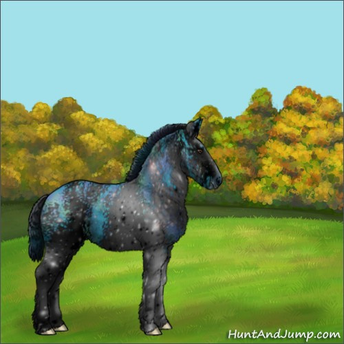 Horse Color:ERROR: UNKNOWN ANOMALY