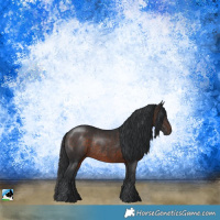 Horse Color:Brown Rabicano
