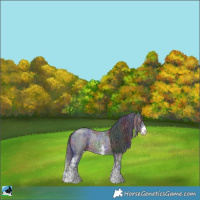 Horse Color:Nacre Brown Sabino Rabicano 