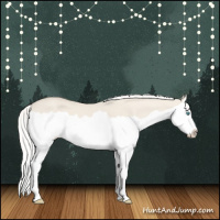 Horse Color:Silver Smoky Creme Dun Splash 