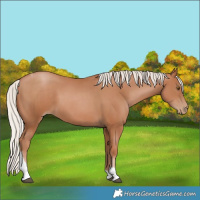 Horse Color:Silver Black Pearl Tobiano 