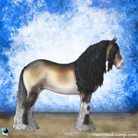 Horse Color:Brown Onyx Sabino Rabicano 