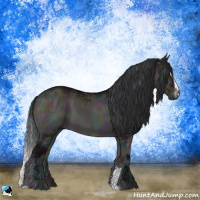Horse Color:Midnight Brown Ice Onyx Sabino
