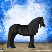 Horse Color:Midnight Blue Onyx Ice Sabino Rabicano 