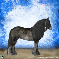 Horse Color:Blue Onyx Ice Rabicano 