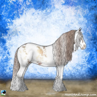 Horse Color:Liver Red Onyx Sabino Rabicano 