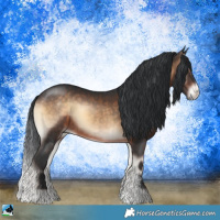 Horse Color:Brown Onyx Sabino Rabicano