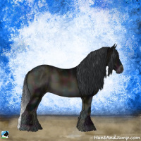 Horse Color:Midnight Brown Ice Onyx Rabicano 