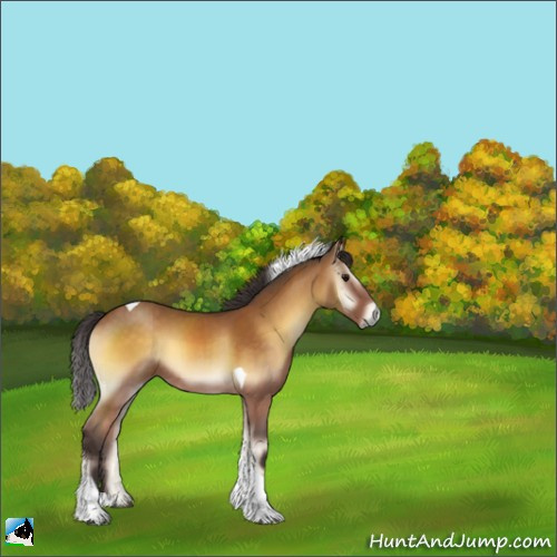 Horse Color:Buckskin Onyx Sabino Tobiano 