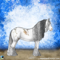 Horse Color:Brown Onyx Sabino Splash 