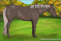 Horse Color:Silver Black 