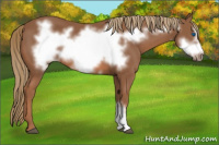 Horse Color:Chestnut Frame 