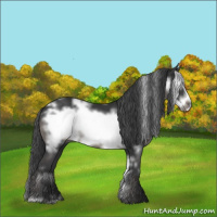 Horse Color:White Spotted Black Frame 