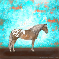 Horse Color:Chocolate Palomino Appaloosa