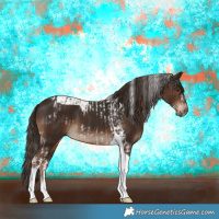 Horse Color:Liver Chestnut Tobiano Frame  and Liver Chestnut Tobiano 