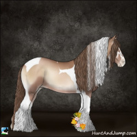 Horse Color:Blue Onyx Pearl Sabino Tobiano 
