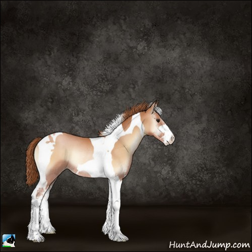Horse Color:Brown Pearl Onyx Sabino Tobiano Rabicano 