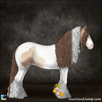 Horse Color:Blue Onyx Pearl Sabino Tobiano