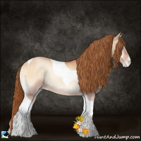 Horse Color:Bay Pearl Onyx Sabino Tobiano 