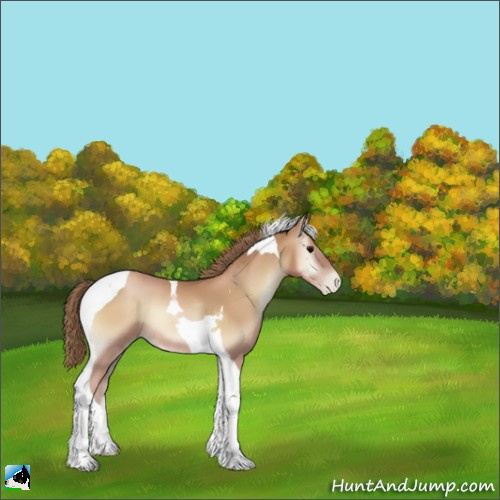 Horse Color:Blue Onyx Pearl Tobiano 