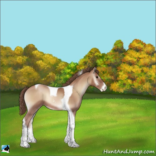 Horse Color:Blue Onyx Pearl Sabino Tobiano 