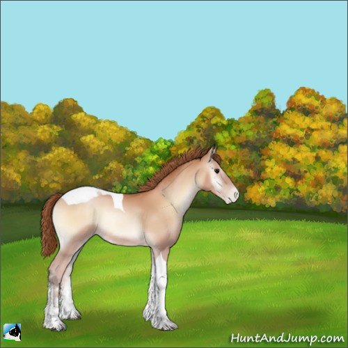 Horse Color:Bay Pearl Onyx Sabino Tobiano 