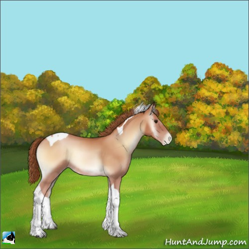 Horse Color:Brown Pearl Onyx Tobiano 