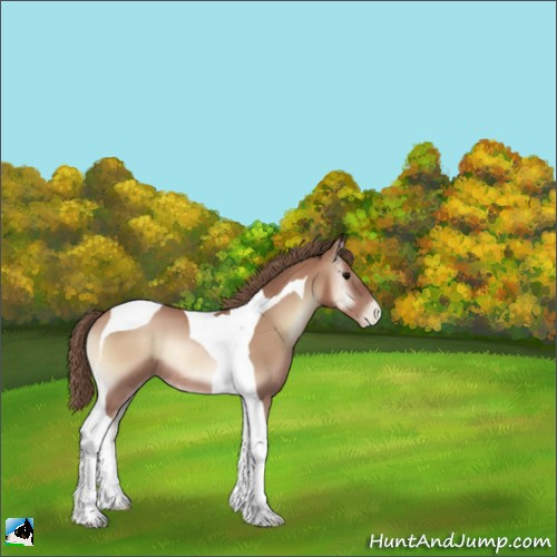 Horse Color:Blue Onyx Pearl Tobiano Rabicano 
