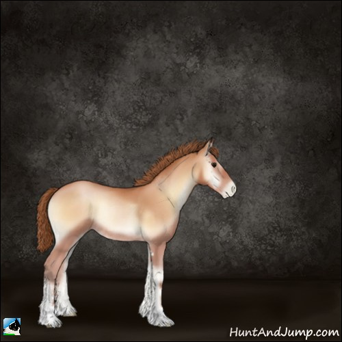 Horse Color:Bay Pearl Onyx Sabino Rabicano 