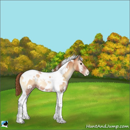 Horse Color:White Spotted Bay Pearl Onyx Tobiano 
